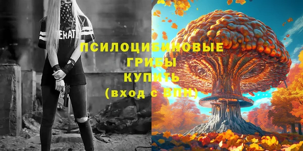 apvp Алексин