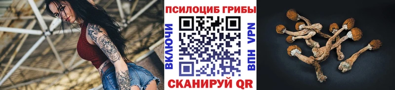 Псилоцибиновые грибы GOLDEN TEACHER  Анжеро-Судженск 