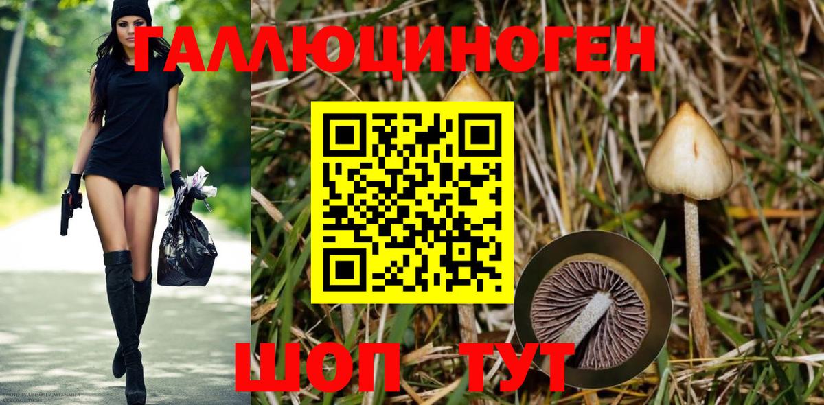 Галлюциногенные грибы мицелий Анжеро-Судженск