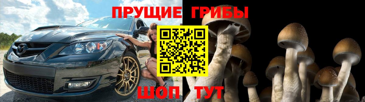 Анжеро-Судженск  Галлюциногенные грибы MAGIC MUSHROOMS  Вход с VPN 